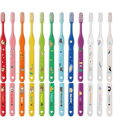 Amazon.co.jp: L APIS：歯科専用こどもハブラシ ジュニア 12色